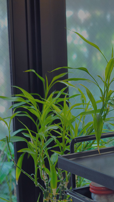 落ち着いた空間